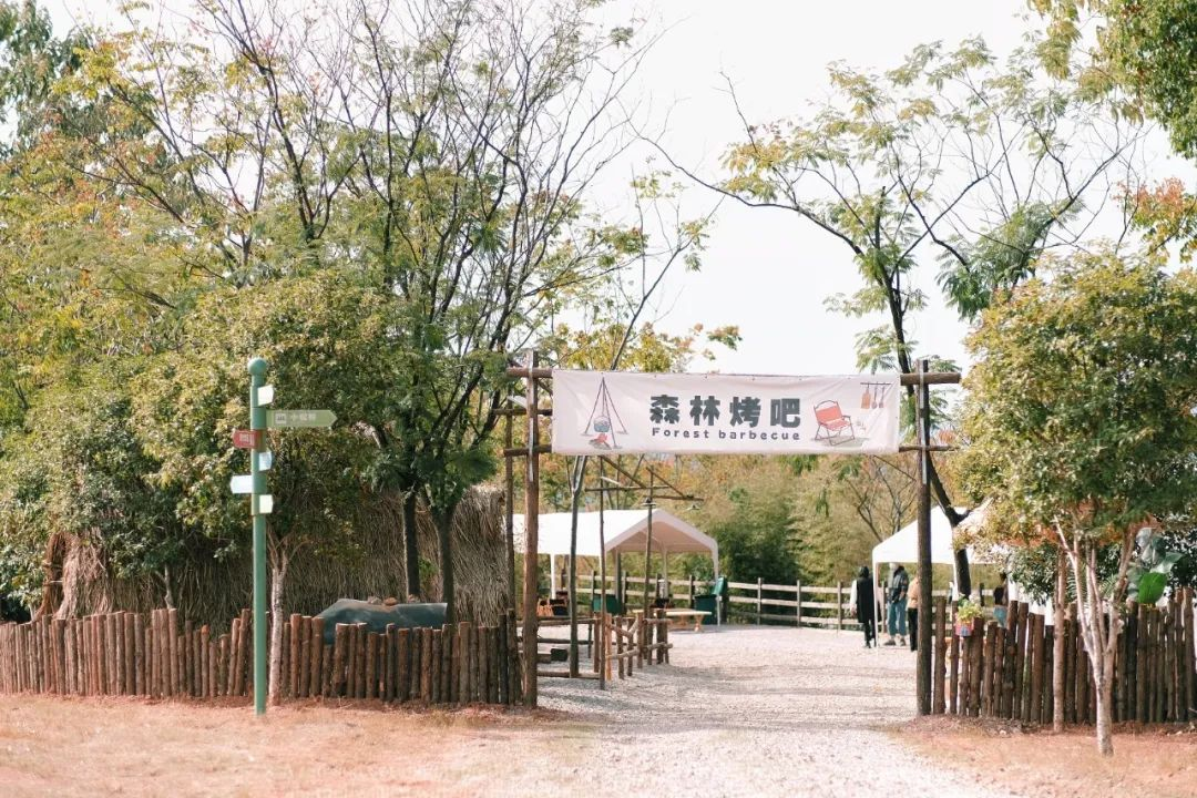 图片7