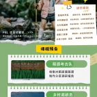 婺丽轩豪华双人房