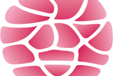 【喜迎国庆•中华恐龙园】常州中华恐龙园（二次入园）•花车巡游•奇幻D秀•苏州木渎三日游