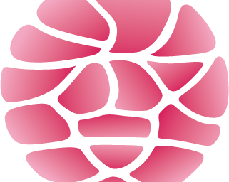 【花漾少年】研学课程  |  造船工程师