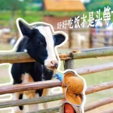 观牧求知