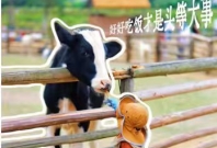 观牧求知